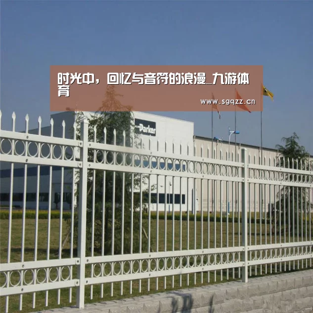 时光中,回忆与音符的浪漫_九游体育(图2) 九游体育