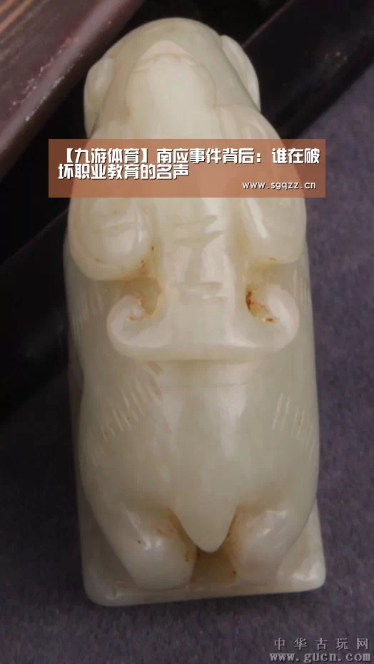 【九游体育】南应事件背后:谁在破坏职业教育的名声(图3) 九游体育