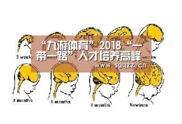 九游体育