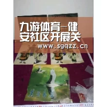 九游体育-健安社区开展关爱残疾人健康知识讲座及志愿服务(图1) 九游体育