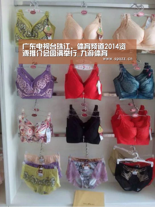 广东电视台珠江、体育频道2014资源推介会圆满举行_九游体育(图2) 九游体育