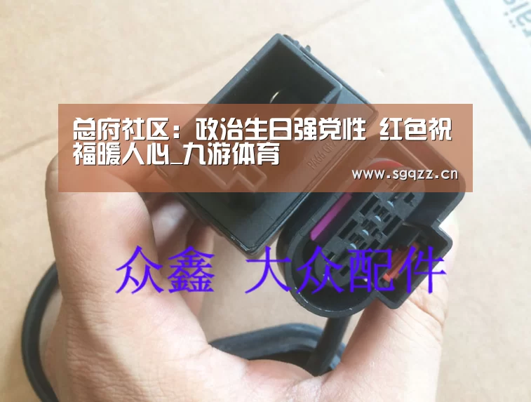 总府社区:政治生日强党性 红色祝福暖人心_九游体育(图3) 九游体育