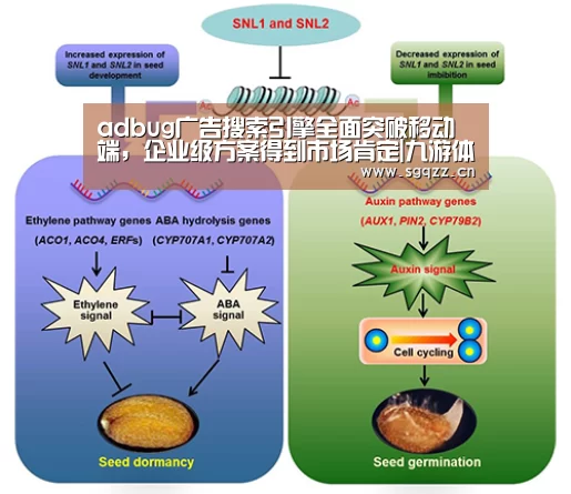 adbug广告搜索引擎全面突破移动端,企业级方案得到市场肯定|九游体育(图2) 九游体育
