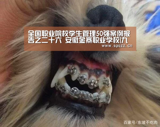 九游体育