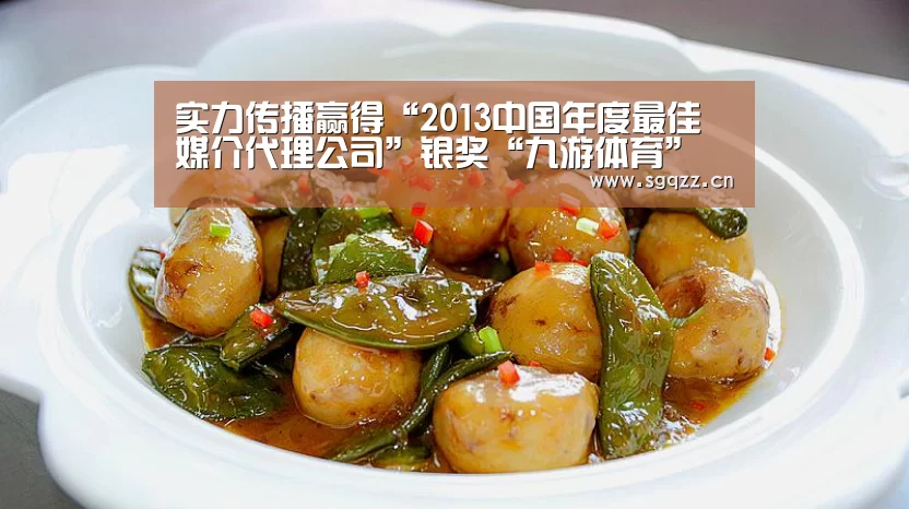 实力传播赢得“2013中国年度最佳媒介代理公司”银奖“九游体育”(图2) 九游体育