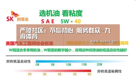 严陵社区:不忘初心 服务群众-九游体育(图3) 九游体育